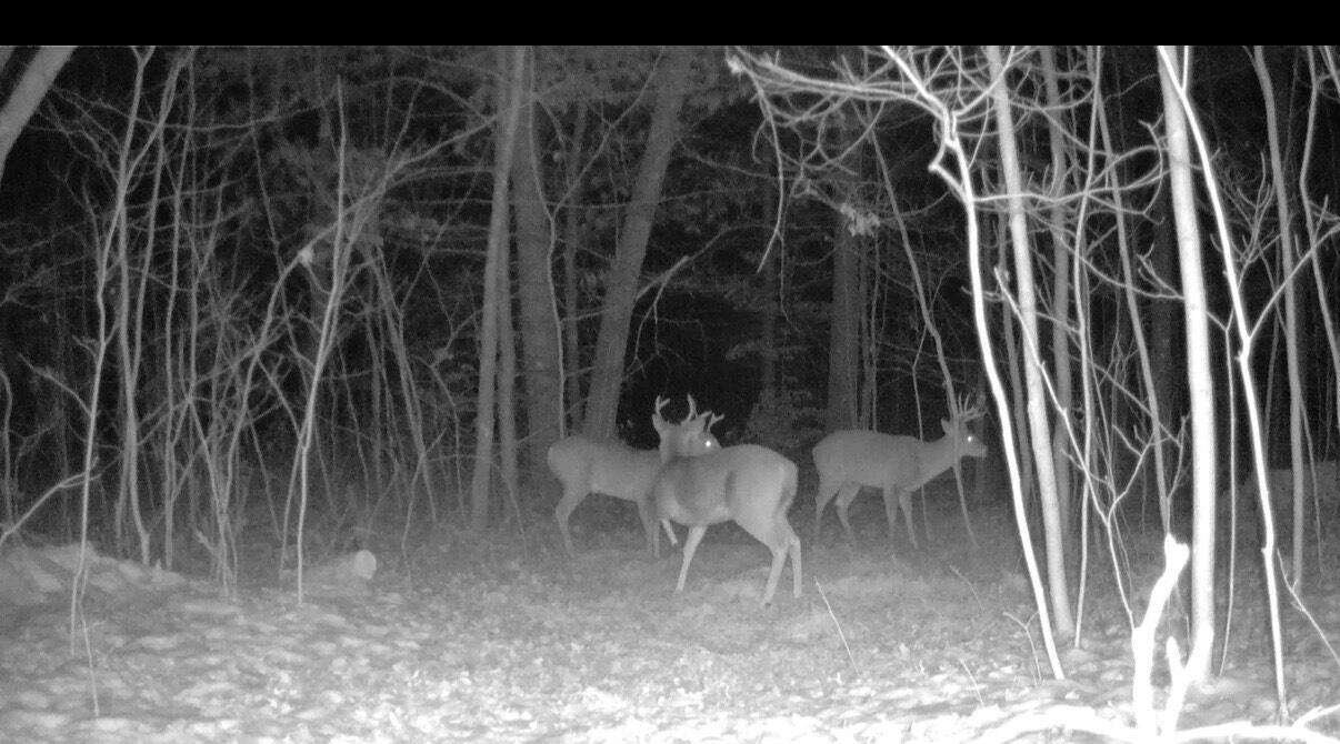 Homes for sale in Pierson, MI | 22903 Waterwheel Dr, Pierson, MI 49339 | MLS# 70470878