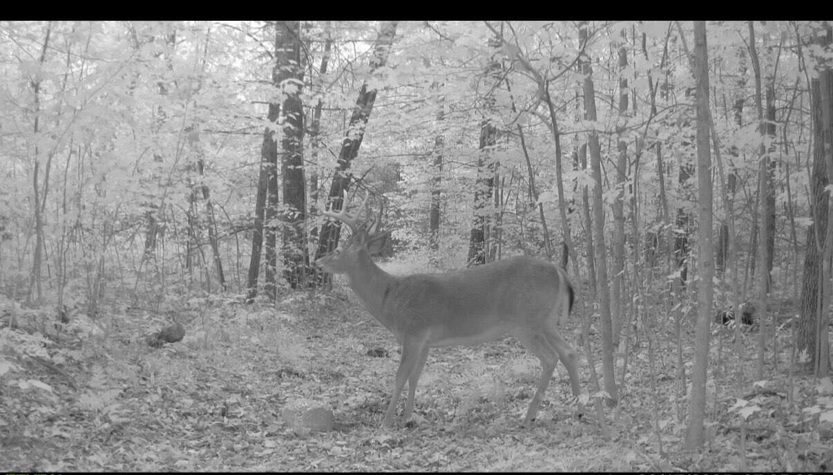 Homes for sale in Pierson, MI | 22903 Waterwheel Dr, Pierson, MI 49339 | MLS# 70470878