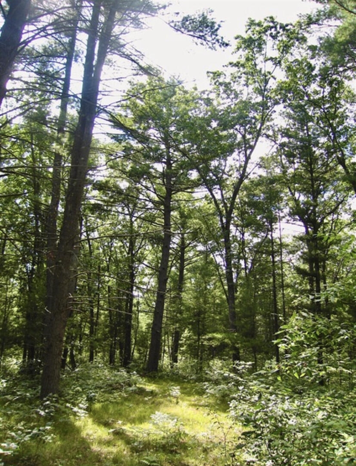 Homes for sale in Pierson, MI | 22903 Waterwheel Dr, Pierson, MI 49339 | MLS# 70470878