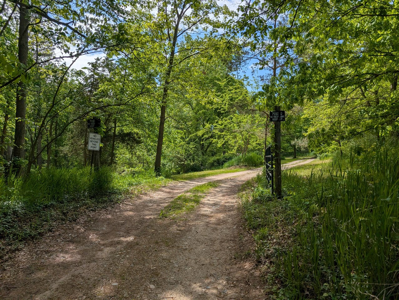 Homes for sale in Hastings, MI | 1175 Hammond Rd, Hastings, MI 49058 | MLS# 70471764