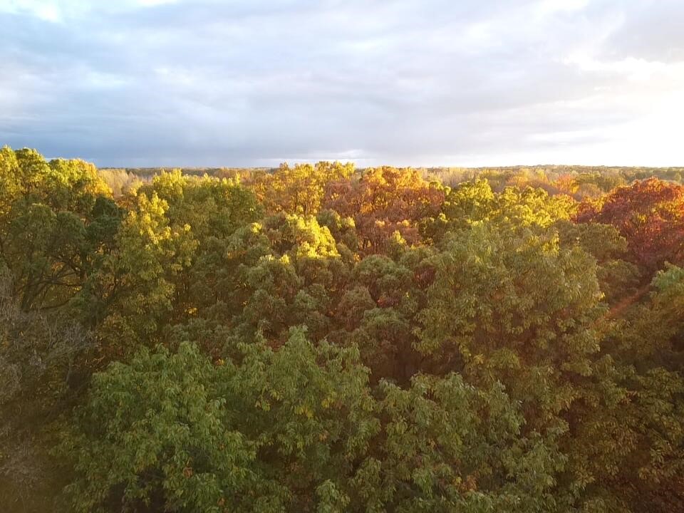 Homes for sale in South Lyon, MI | 22649 N Dixboro Rd, South Lyon, MI 48178 | MLS# 70472265