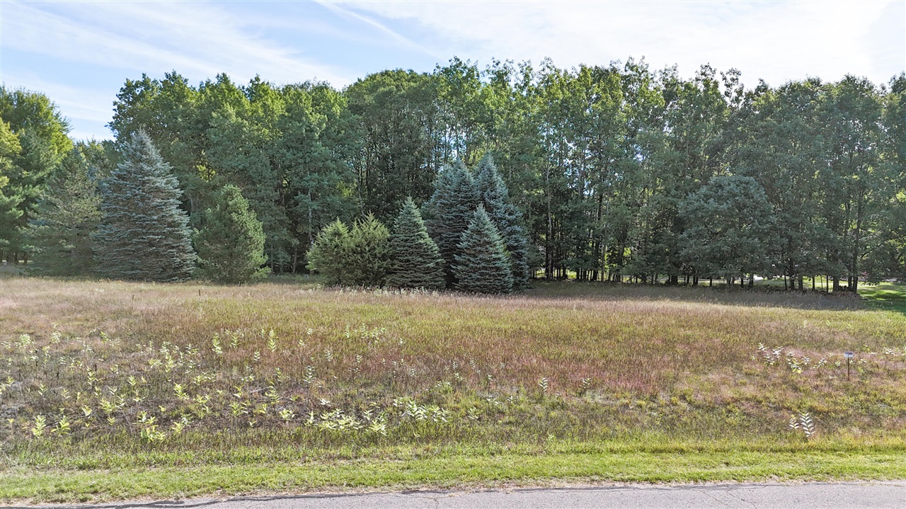 Homes for sale in Stanwood, MI | 7256 Ryans Run, Stanwood, MI 49346 | MLS# 70472424