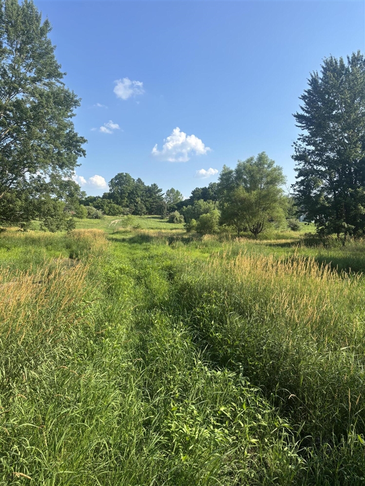 Homes for sale in Buchanan, MI | 2311 E Glendora Rd, Buchanan, MI 49107 | MLS# 70473180