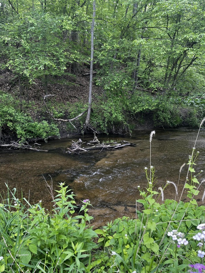 Homes for sale in Saranac, MI | 5650 Morrison Lake Rd, Saranac, MI 48881 | MLS# 70473375