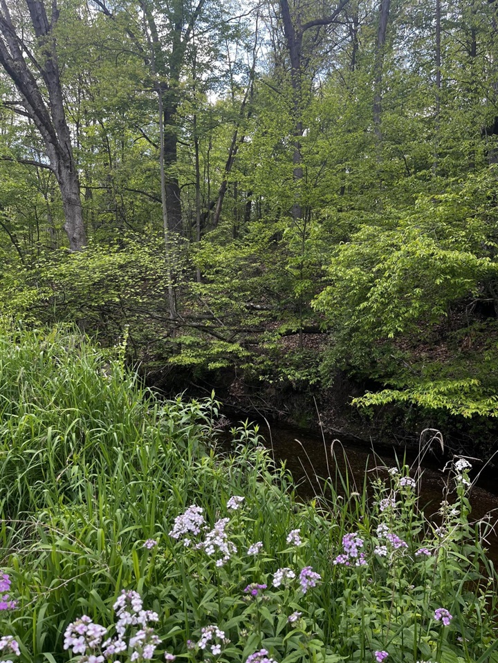 Homes for sale in Saranac, MI | 5650 Morrison Lake Rd, Saranac, MI 48881 | MLS# 70473375