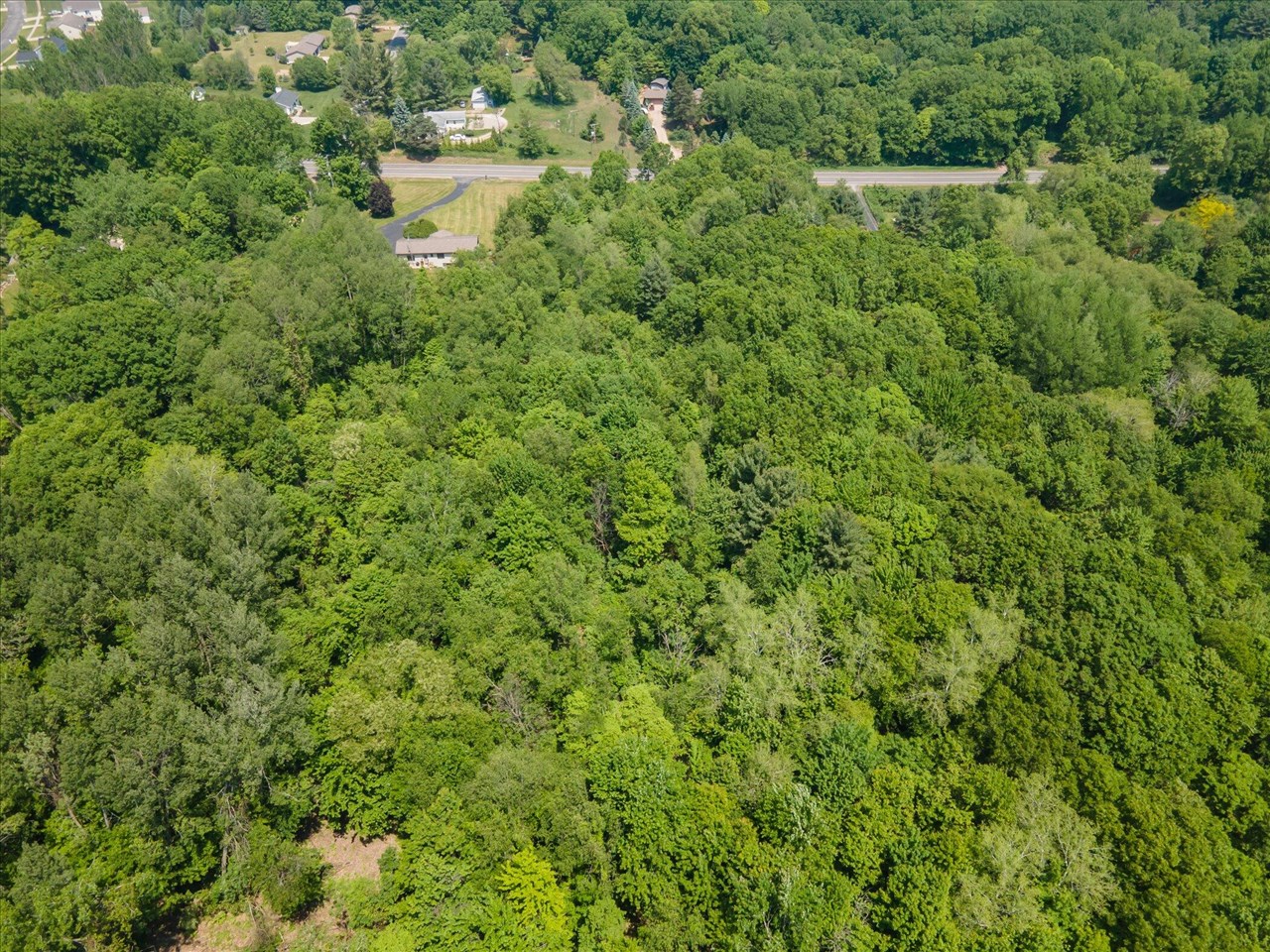 Homes for sale in Cedar Springs, MI | 3230 14 Mile Parcel C Rd, Cedar Springs, MI 49319 | MLS# 70473868