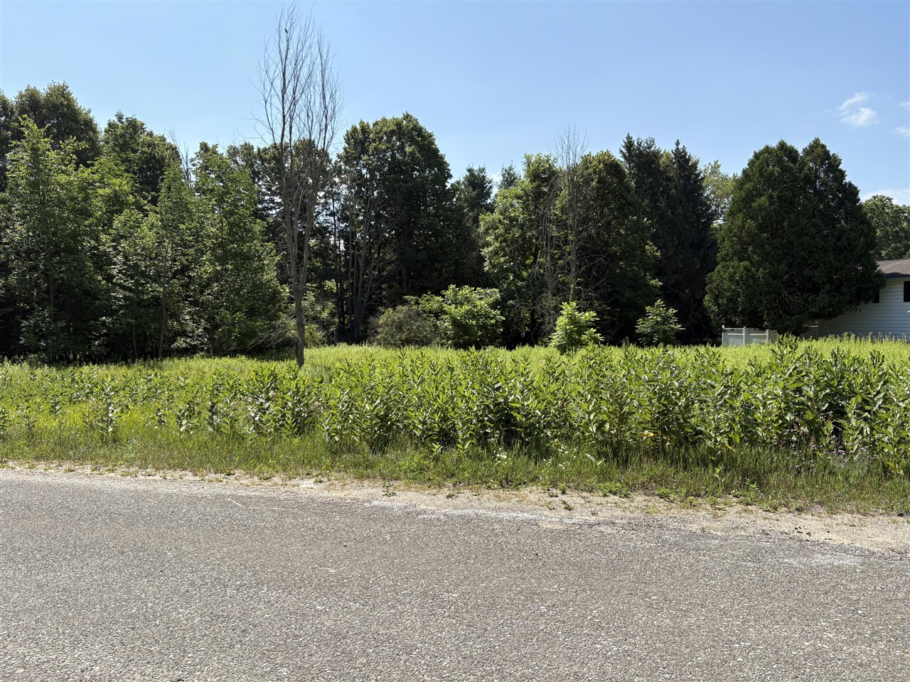 Homes for sale in Big Rapids, MI | Edgewood Dr, Big Rapids, MI 49307 | MLS# 70474083