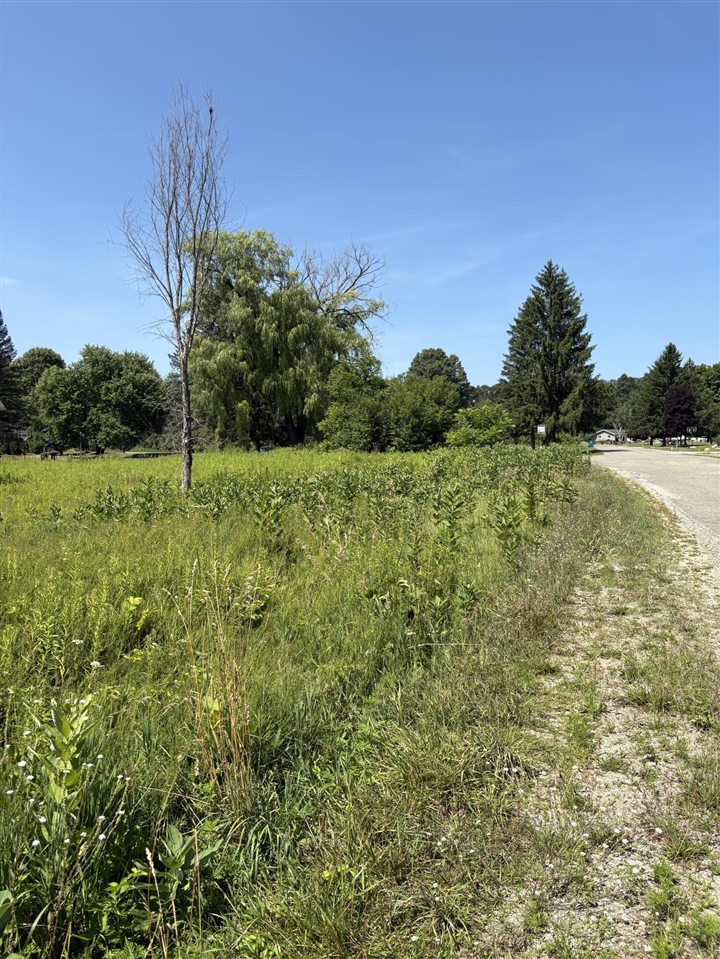 Homes for sale in Big Rapids, MI | Edgewood Dr, Big Rapids, MI 49307 | MLS# 70474083