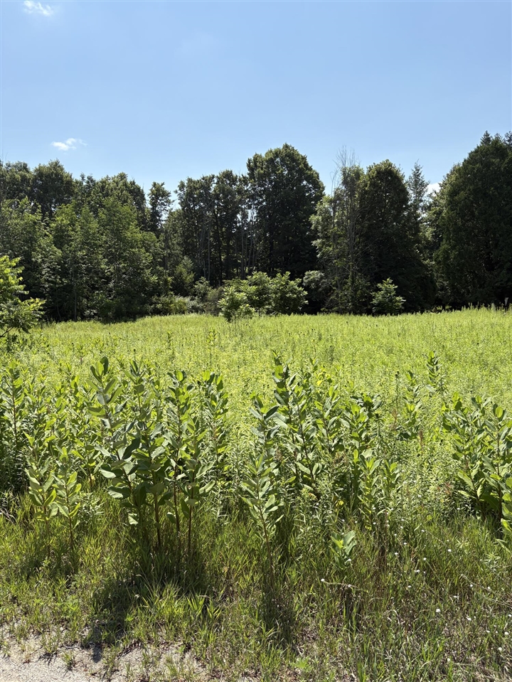 Homes for sale in Big Rapids, MI | Edgewood Dr, Big Rapids, MI 49307 | MLS# 70474083