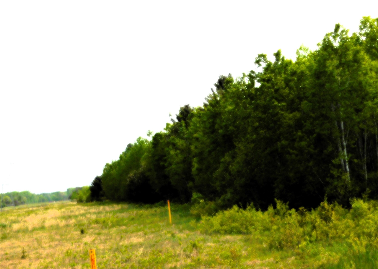 Homes for sale in Kaleva, MI | 15880 Potter Rd, Kaleva, MI 49645 | MLS# 70474132