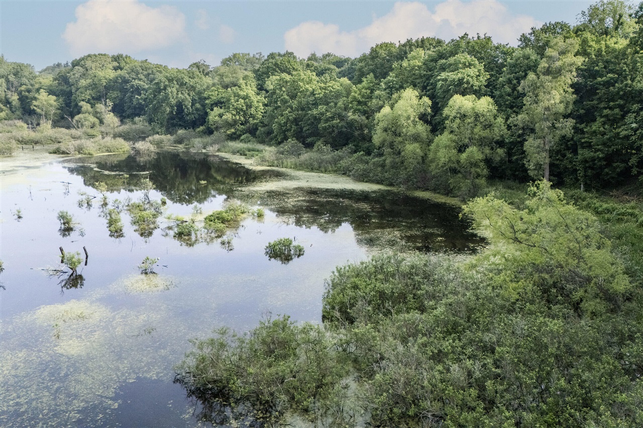 Homes for sale in Buchanan, MI | 15326 Madron Lake Rd, Buchanan, MI 49107 | MLS# 70475107