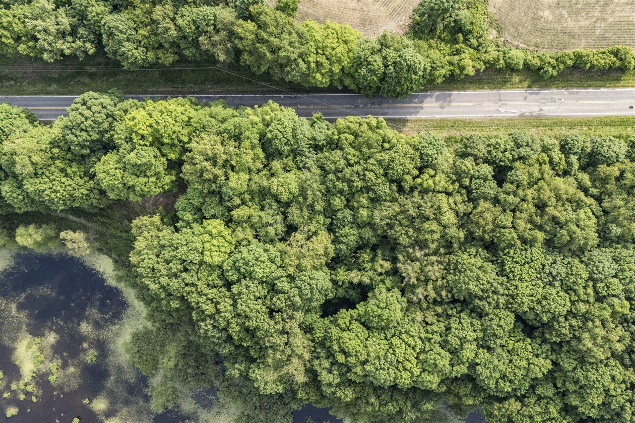 Homes for sale in Buchanan, MI | 15326 Madron Lake Rd, Buchanan, MI 49107 | MLS# 70475107