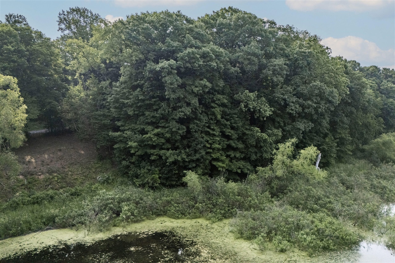 Homes for sale in Buchanan, MI | 15326 Madron Lake Rd, Buchanan, MI 49107 | MLS# 70475107