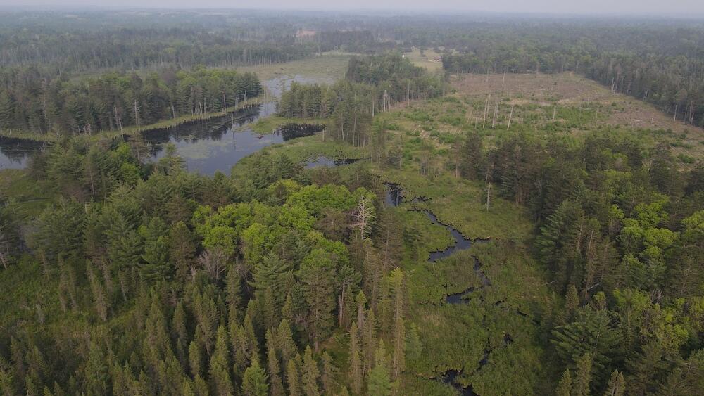 Homes for sale in Grayling, MI | Parcel B Cherry Creek Trail, Grayling, MI 49738 | MLS# 70476035