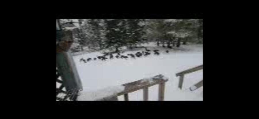 Homes for sale in Grayling, MI | Parcel B Cherry Creek Trail, Grayling, MI 49738 | MLS# 70476035