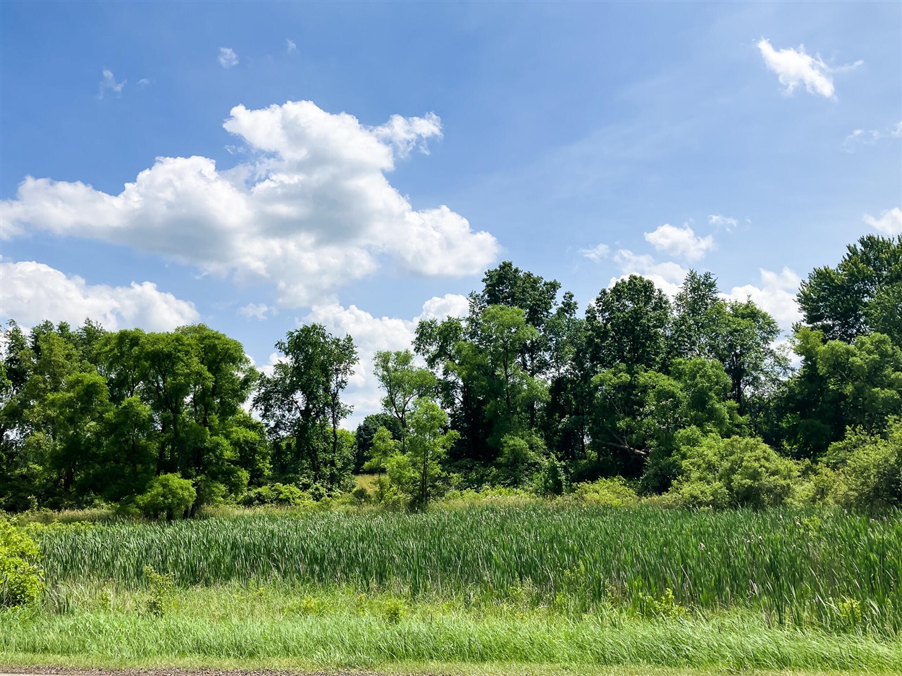 Homes for sale in Alto, MI | 9250 92nd St, Alto, MI 49302 | MLS# 70476079