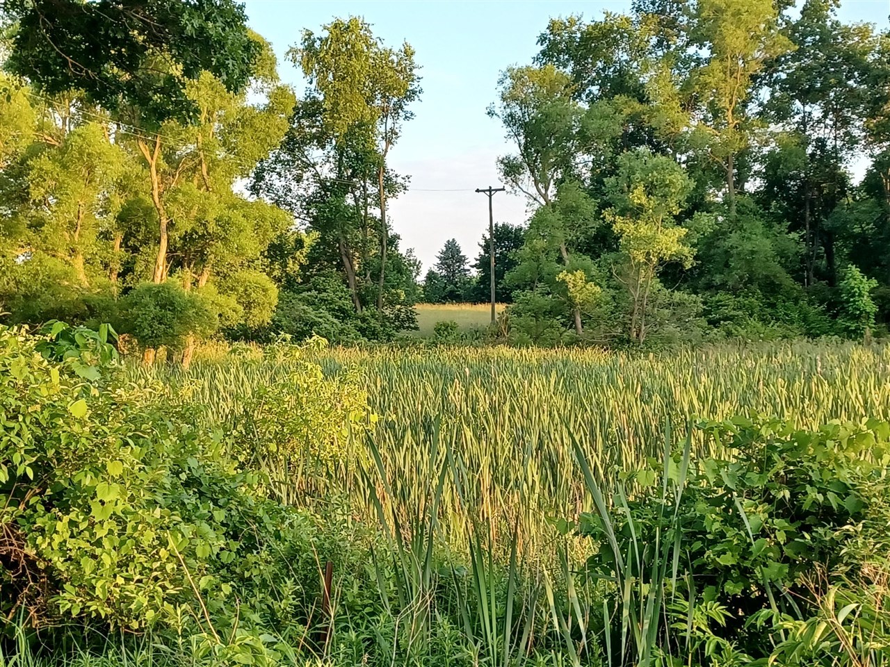 Homes for sale in Alto, MI | 9250 92nd St, Alto, MI 49302 | MLS# 70476079