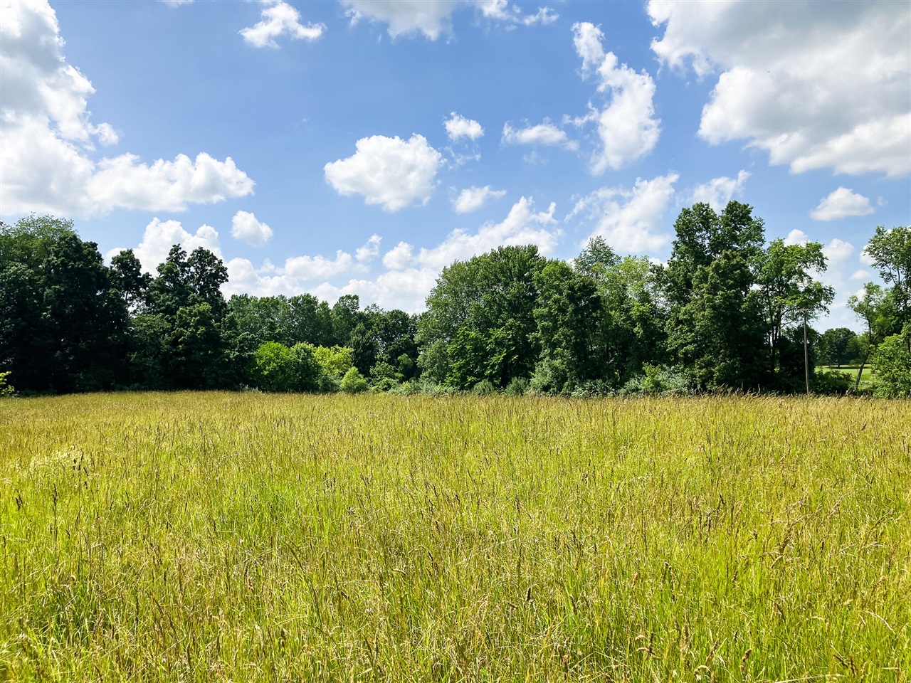 Homes for sale in Alto, MI | 9250 92Nd St, Alto, MI 49302 | MLS# 70476079