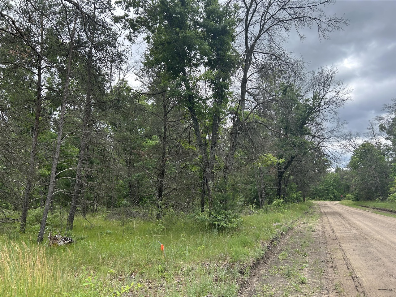 Homes for sale in Baldwin, MI | V/l S Dillard St, Baldwin, MI 49304 | MLS# 70476489