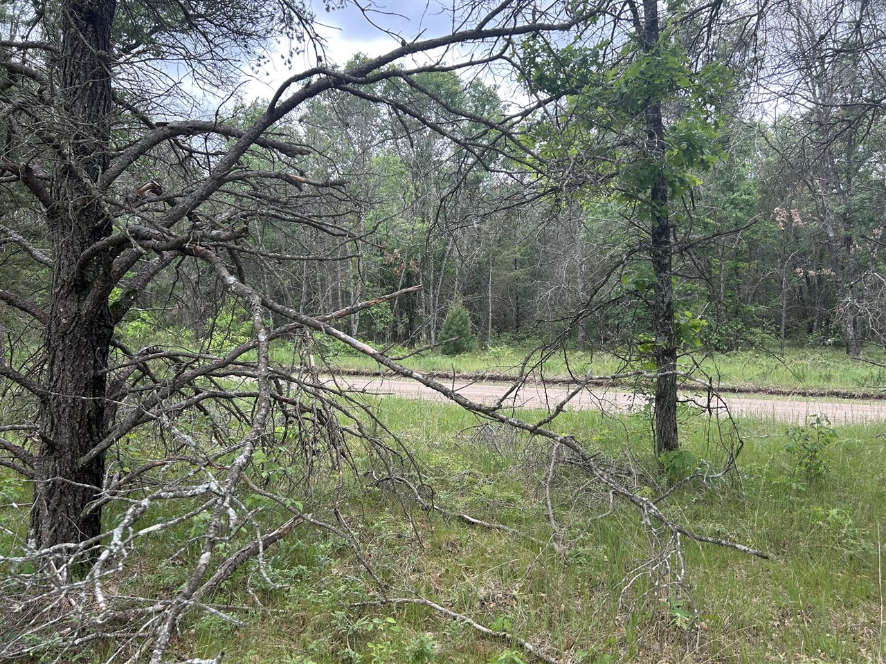 Homes for sale in Baldwin, MI | V/l S Dillard St, Baldwin, MI 49304 | MLS# 70476489