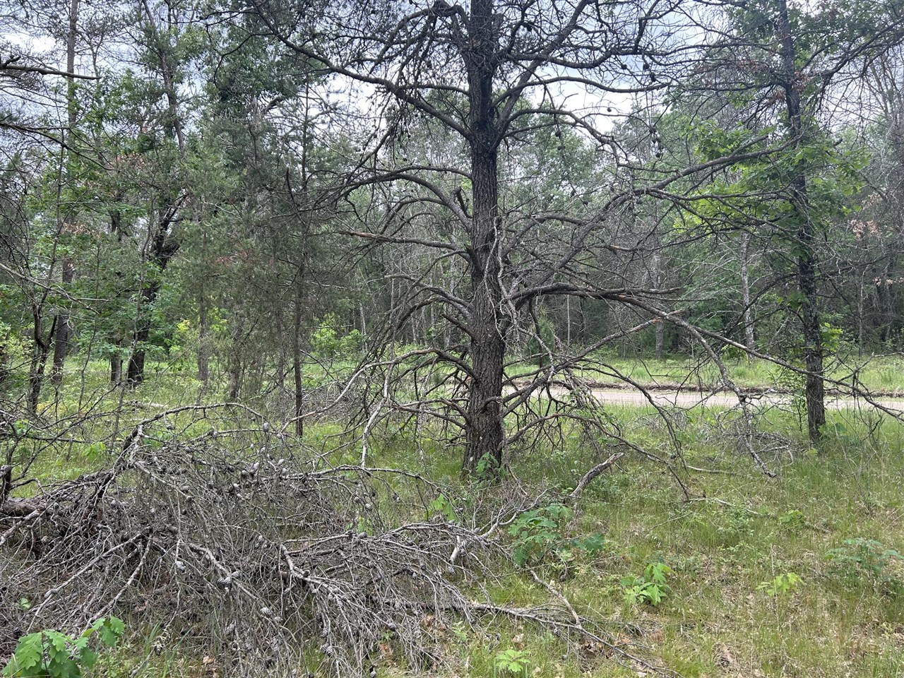 Homes for sale in Baldwin, MI | V/L S Dillard St, Baldwin, MI 49304 | MLS# 70476489