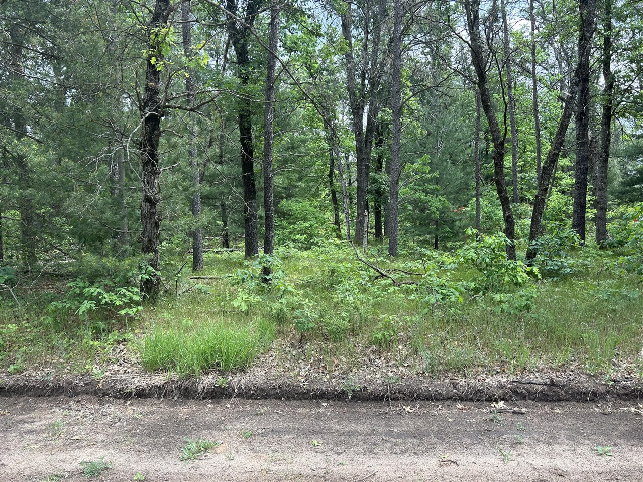 Homes for sale in Baldwin, MI | V/l S Dillard St, Baldwin, MI 49304 | MLS# 70476489