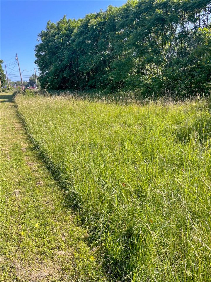 Homes for sale in Benton Harbor, MI | 992 Highland Ave, Benton Harbor, MI 49022 | MLS# 70476829