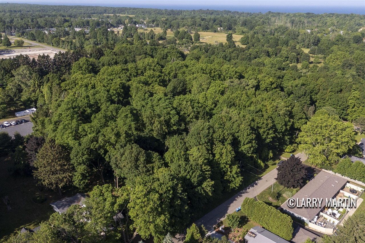 Homes for sale in Douglas, MI | 387 Fremont St, Douglas, MI 49406 | MLS# 70477677