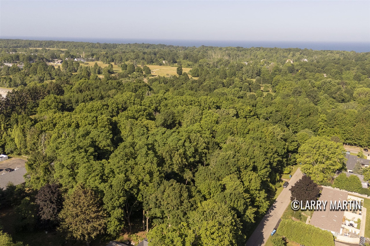 Homes for sale in Douglas, MI | 387 Fremont St, Douglas, MI 49406 | MLS# 70477677