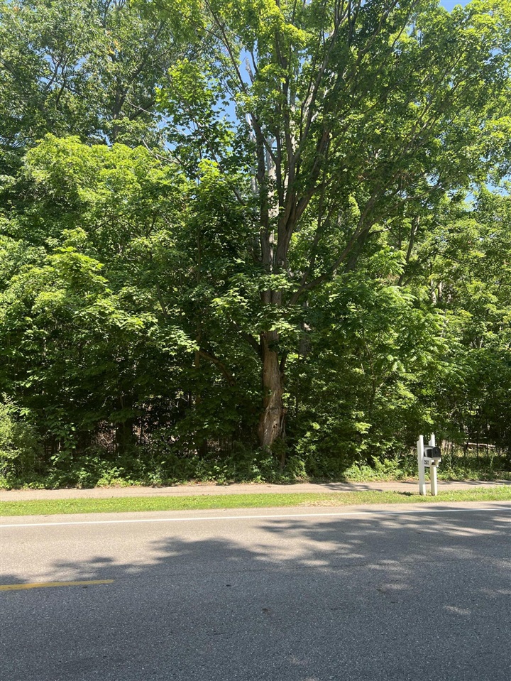 Homes for sale in Holland, MI | Unit 5 N Lakeshore Dr, Holland, MI 49424 | MLS# 70477943