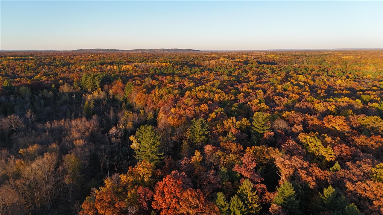 Homes for sale in Free Soil, MI | 5680 E Shores Dr, Free Soil, MI 49411 | MLS# 70477952