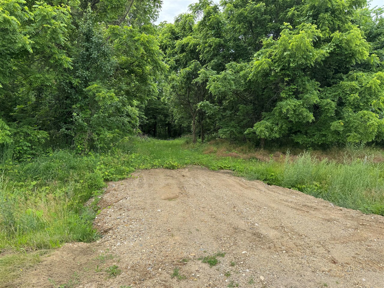 Homes for sale in Niles, MI | 1519 Riverside Rd, Niles, MI 49120 | MLS# 70478284