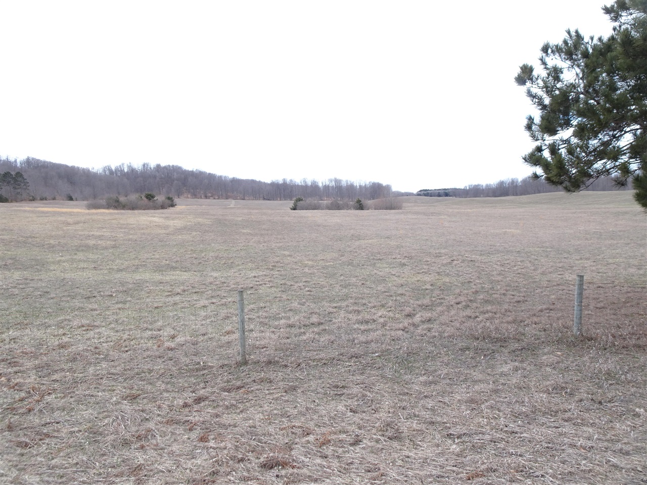 Homes for sale in Bear Lake, MI | Chief ''i'' Rd, Bear Lake, MI 49614 | MLS# 70478674