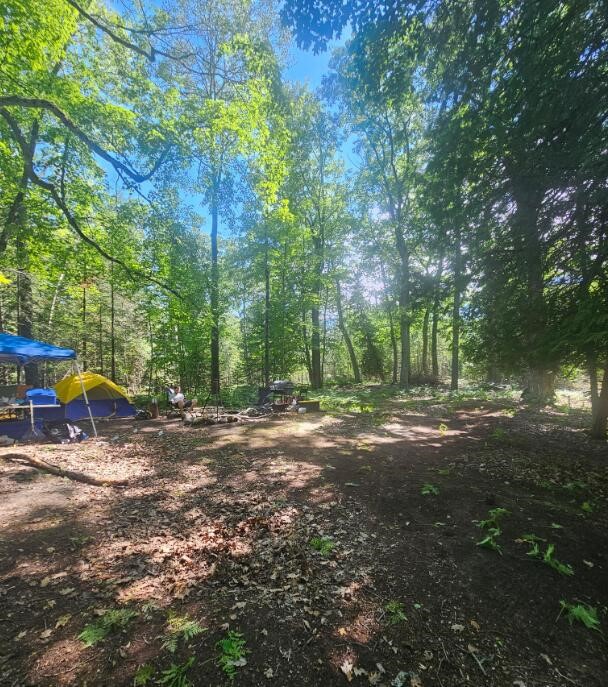 Homes for sale in Beaver Island, MI | V/L East Side Dr, Beaver Island, MI 49782 | MLS# 70478700