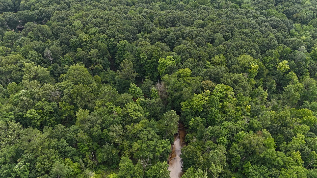 Homes for sale in South Haven, MI | Lot B 105Th Avenue, South Haven, MI 49090 | MLS# 70478820