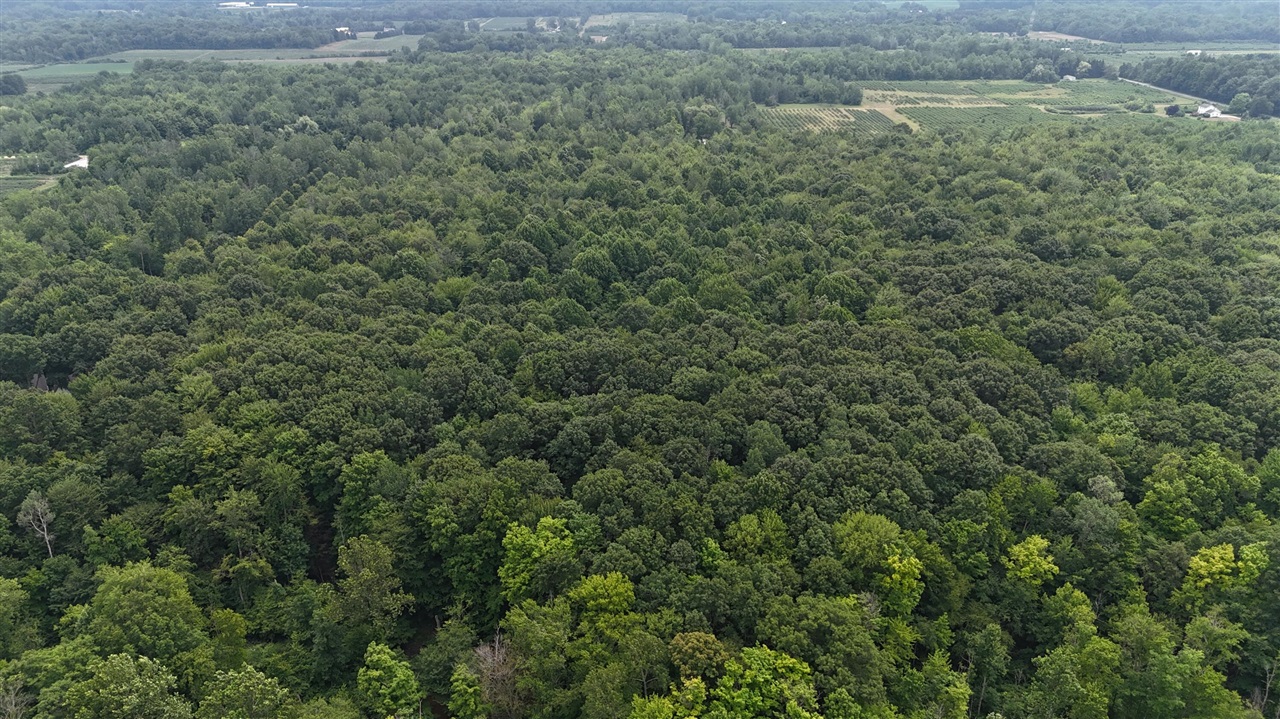 Homes for sale in South Haven, MI | Lot B 105Th Avenue, South Haven, MI 49090 | MLS# 70478820