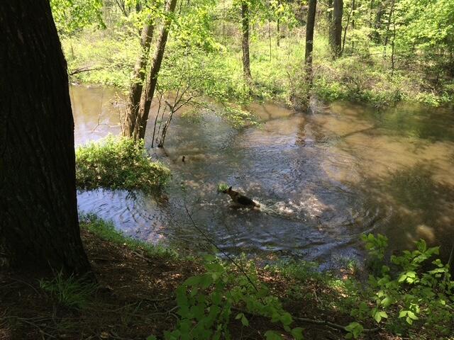 Homes for sale in South Haven, MI | Lot B 105Th Avenue, South Haven, MI 49090 | MLS# 70478820