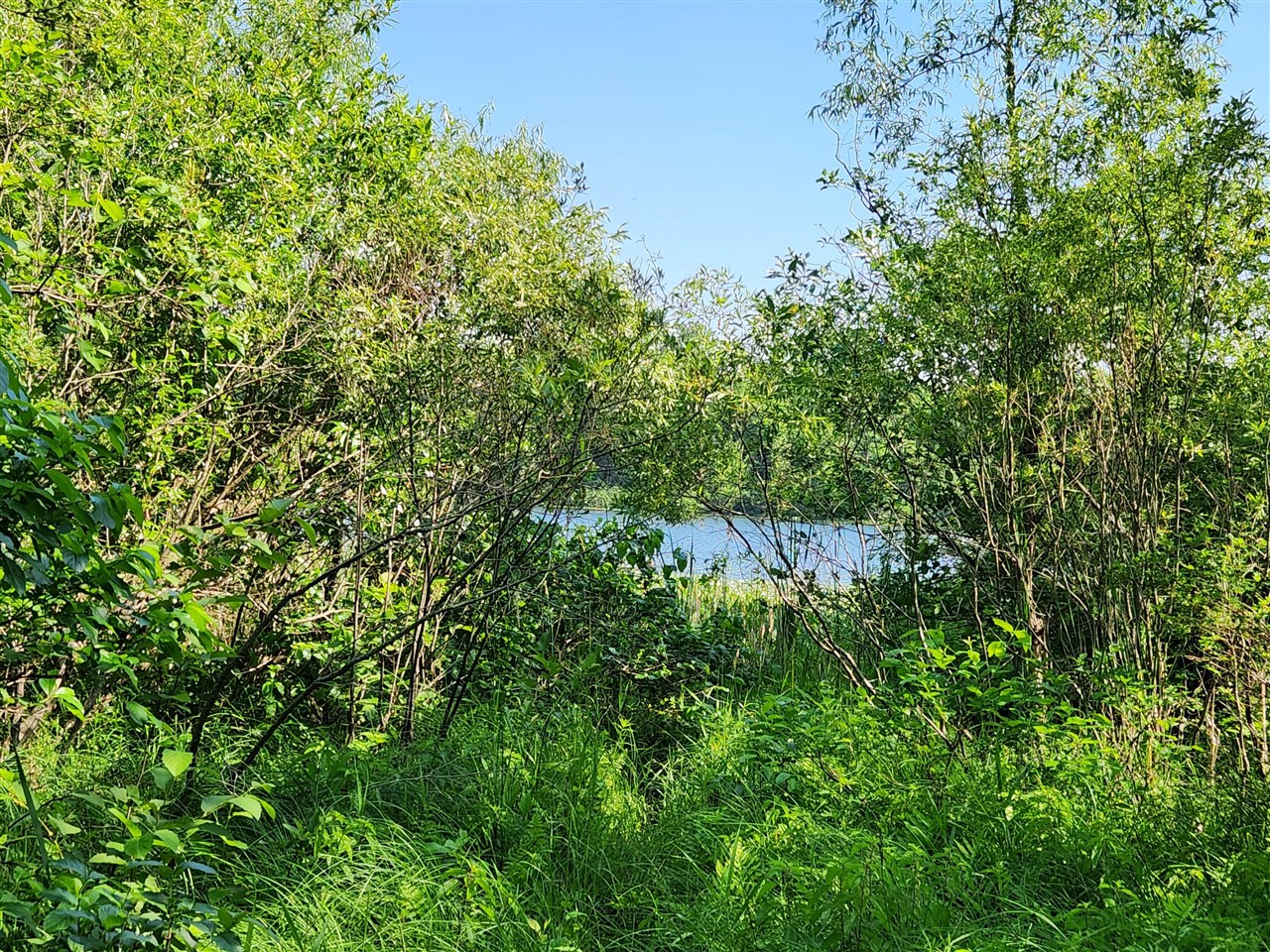 Homes for sale in Walkerville, MI | 6386 E Peavey St, Walkerville, MI 49459 | MLS# 70478887