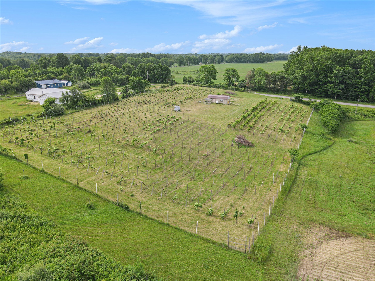 Homes for sale in Lawrence, MI | 56278 County Road 365, Lawrence, MI 49064 | MLS# 70479083