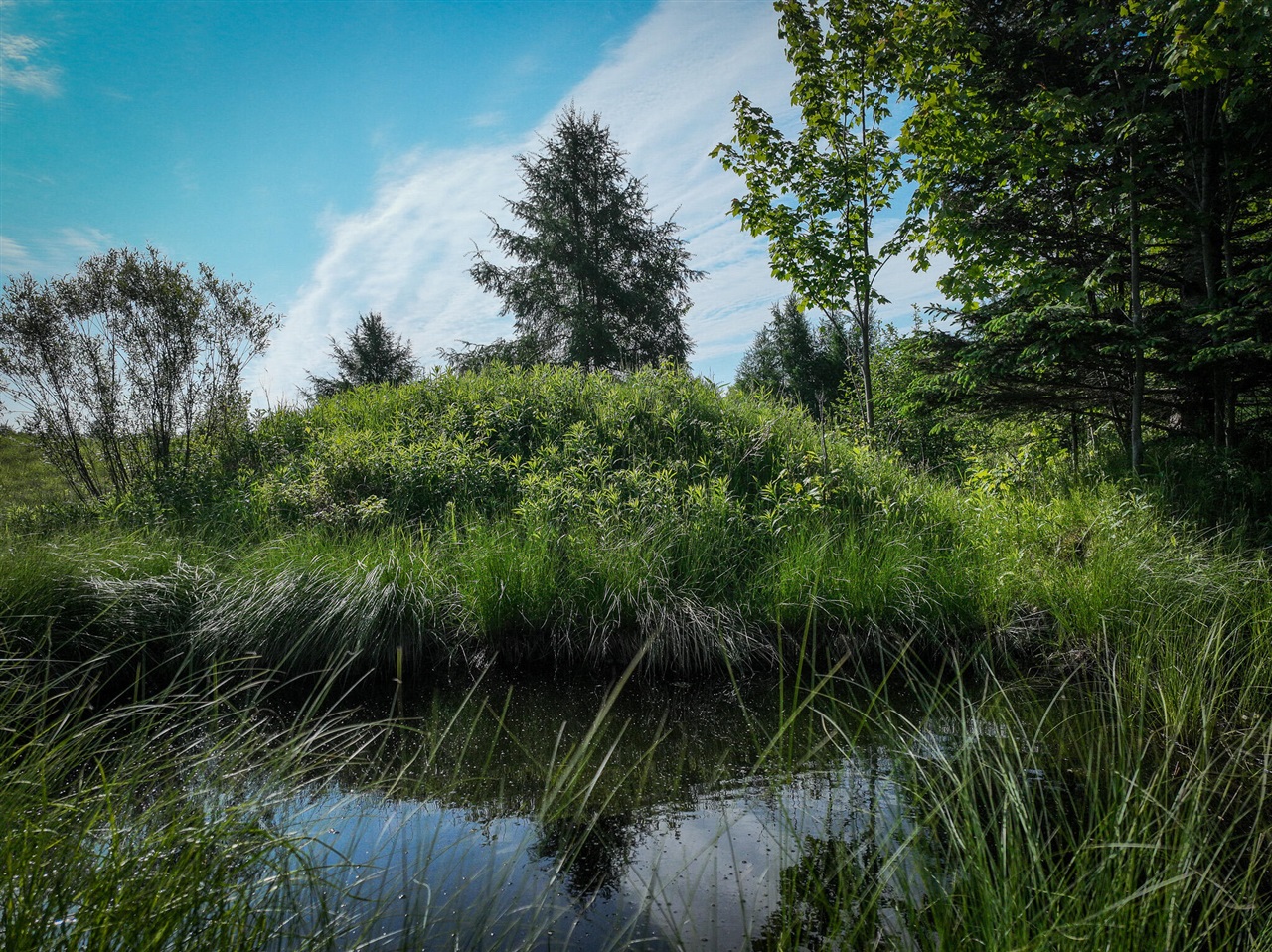 Homes for sale in L'anse, MI | Lot 4 Nelson Rd, L'anse, MI 49946 | MLS# 70479209