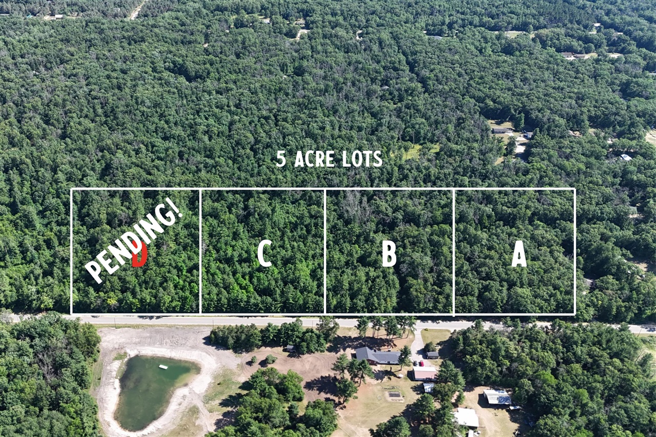 Homes for sale in Howard City, MI | D W Almy Rd, Howard City, MI 49329 | MLS# 70479323