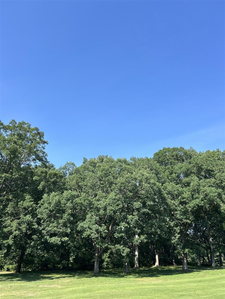 Homes for sale in Update, MI | 1 Lilac Ln, Update, MI 49117 | MLS# 70479398