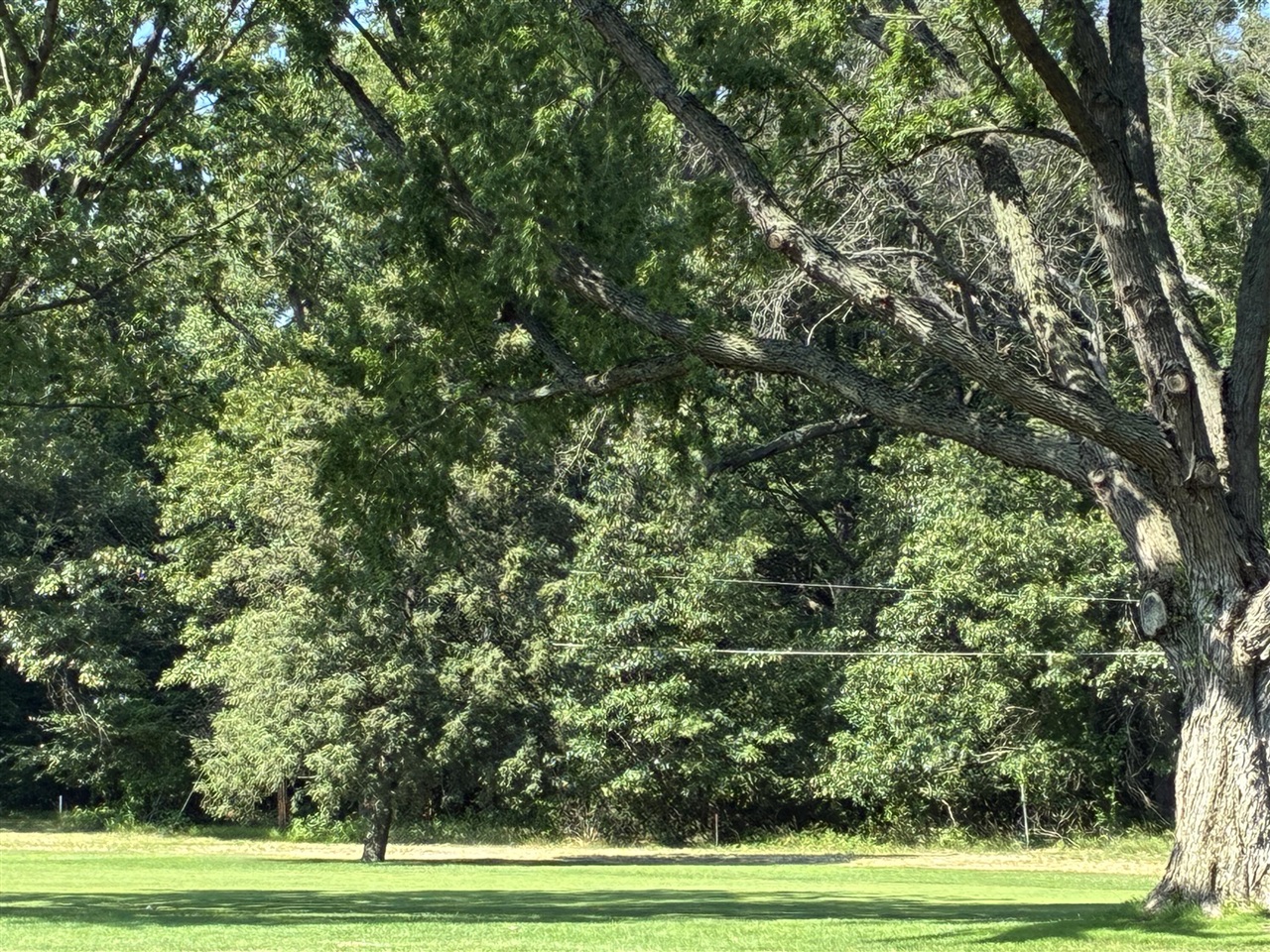 Homes for sale in Update, MI | 1 Lilac Ln, Update, MI 49117 | MLS# 70479398