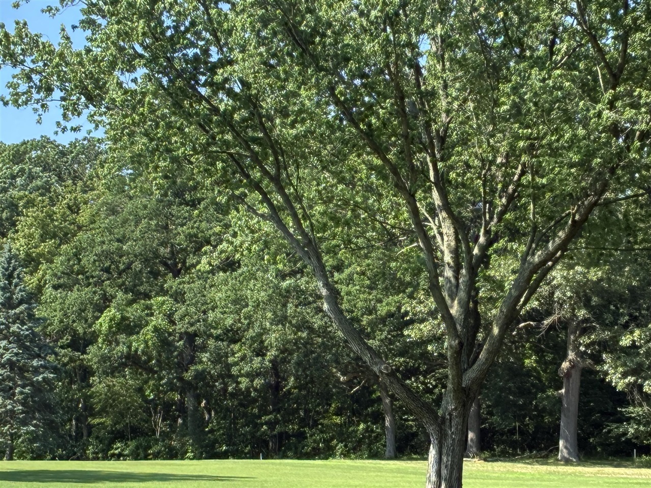 Homes for sale in Update, MI | 1 Lilac Ln, Update, MI 49117 | MLS# 70479398