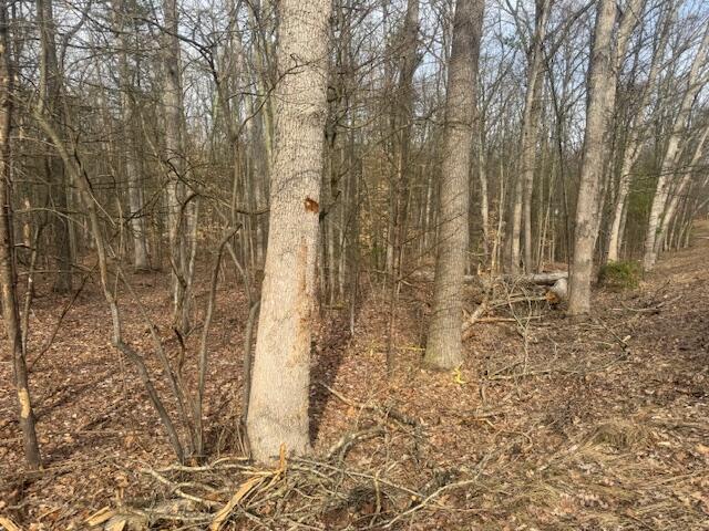 Homes for sale in Holton, MI | 0 E Meinert Rd, Holton, MI 49425 | MLS# 70479766