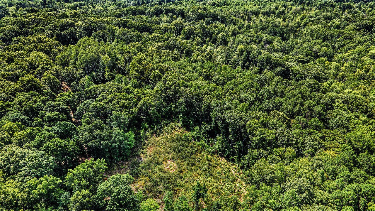 Homes for sale in White Cloud, MI | 0 Wisner Ave, White Cloud, MI 49349 | MLS# 70479878