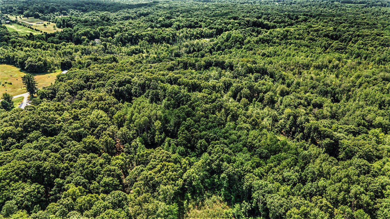 Homes for sale in White Cloud, MI | 0 Wisner Ave, White Cloud, MI 49349 | MLS# 70479878