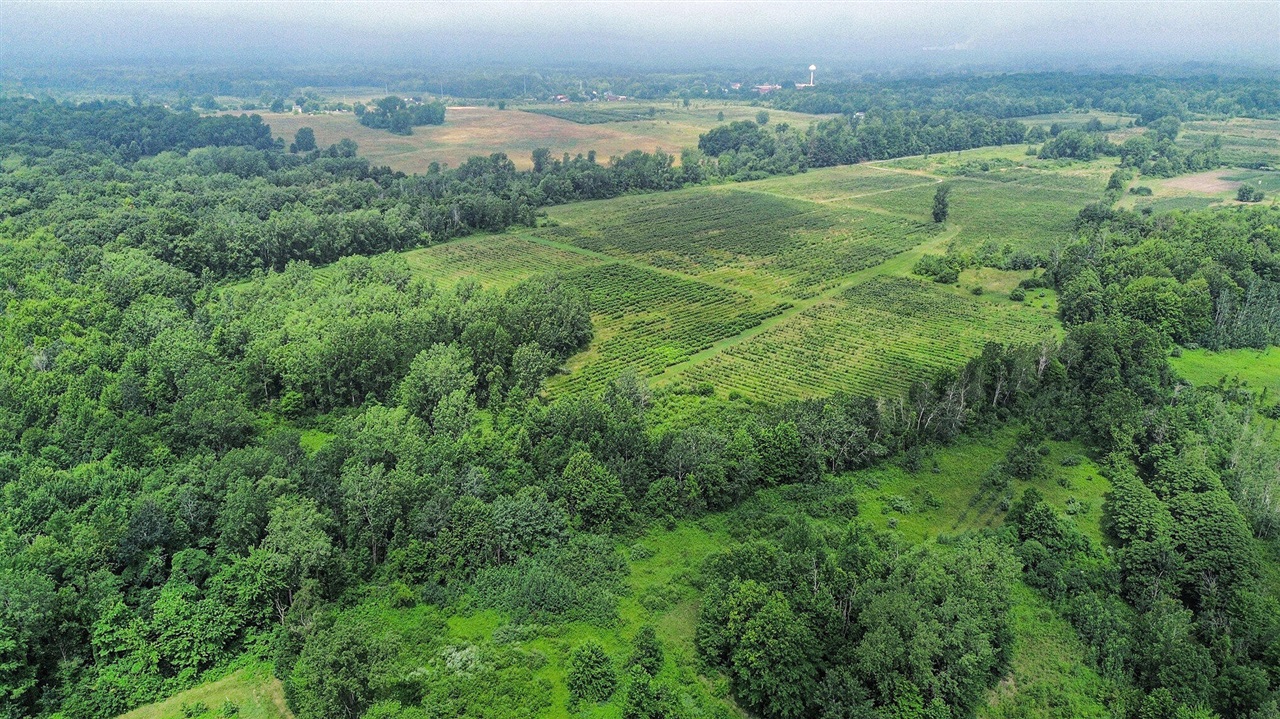 Homes for sale in Covert, MI | 36th Ave, Covert, MI 49043 | MLS# 70480153