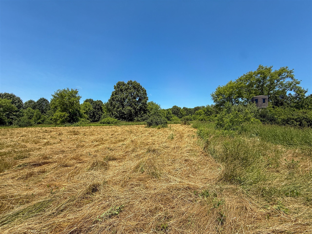 Homes for sale in Parma, MI | 115 W Michigan Ave, Parma, MI 49269 | MLS# 70480173