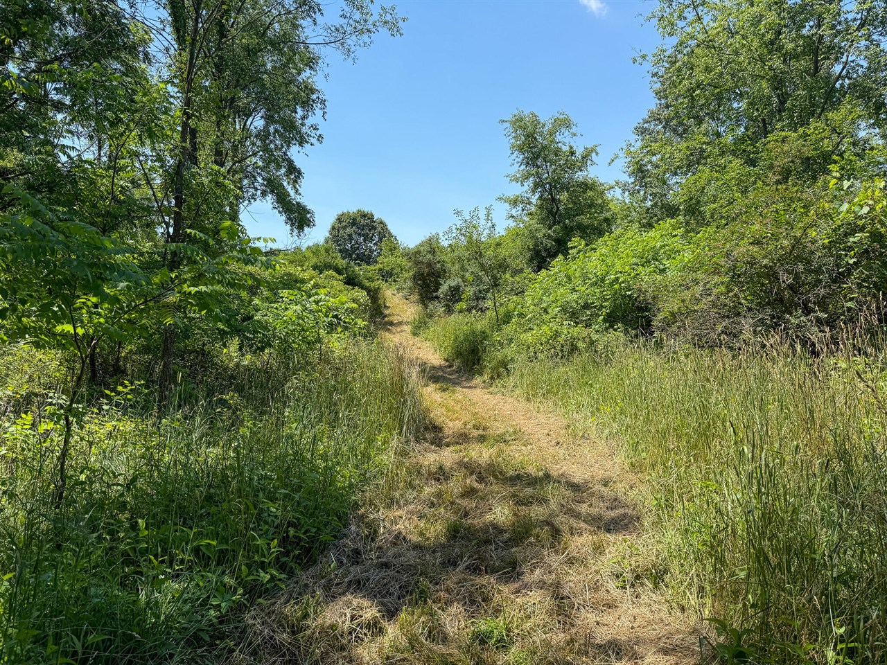 Homes for sale in Parma, MI | 115 W Michigan Ave, Parma, MI 49269 | MLS# 70480173